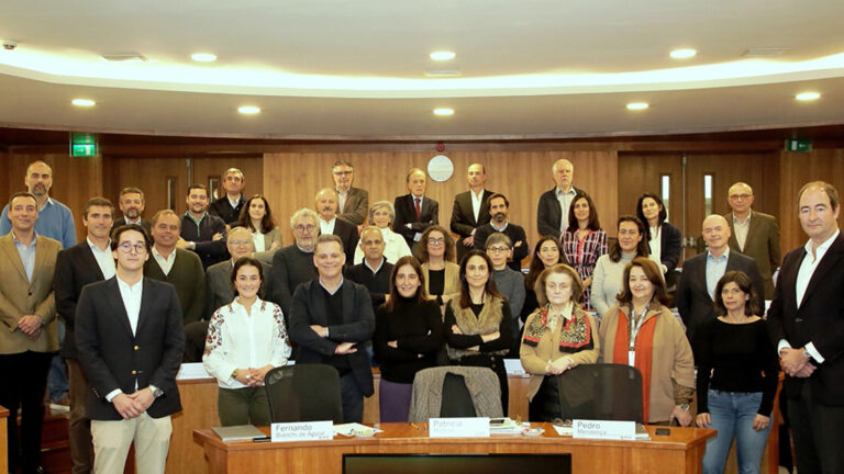 Parar para pensar na competitividade do ecossistema da Vinha e do Vinho