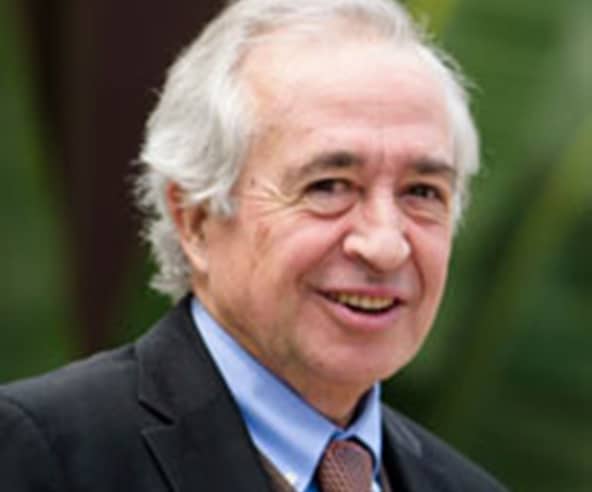 Font Vicente 592x492 1