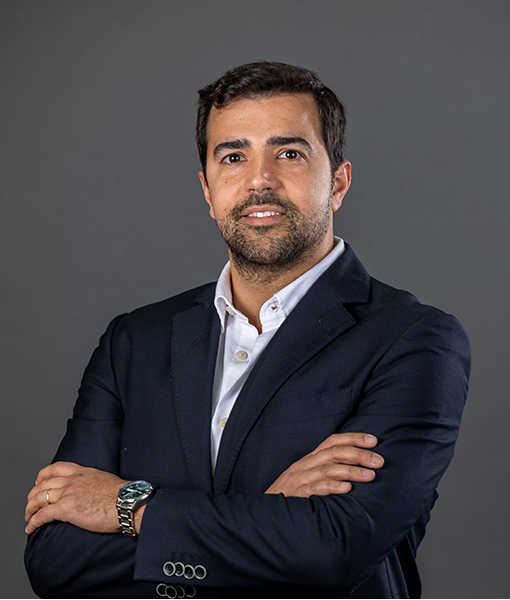 Afonso Porto